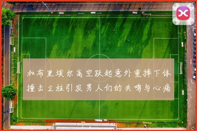 加布里埃尔高空跃起意外重摔下体撞击立柱引发男人们的共鸣与心痛