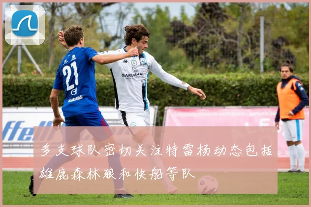 多支球队密切关注特雷杨动态包括雄鹿森林狼和快船等队
